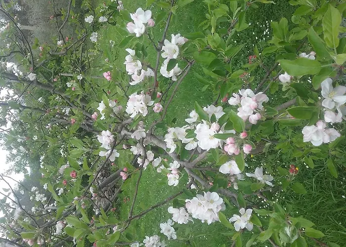 Aparthotel Complesso Il Gorello