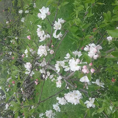 Appart hôtel Complesso Il Gorello